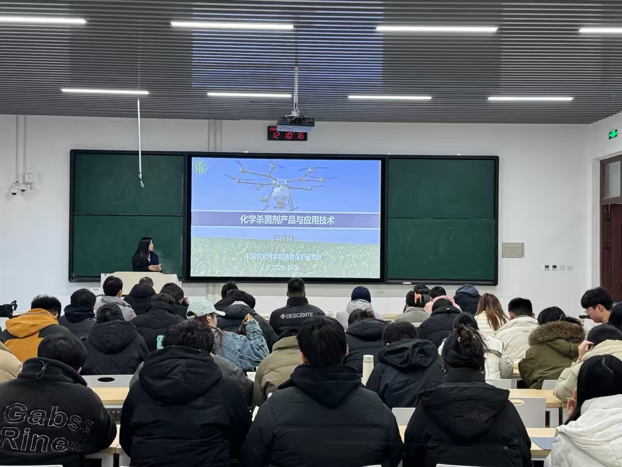 ���ߵ����˿��ֽ�