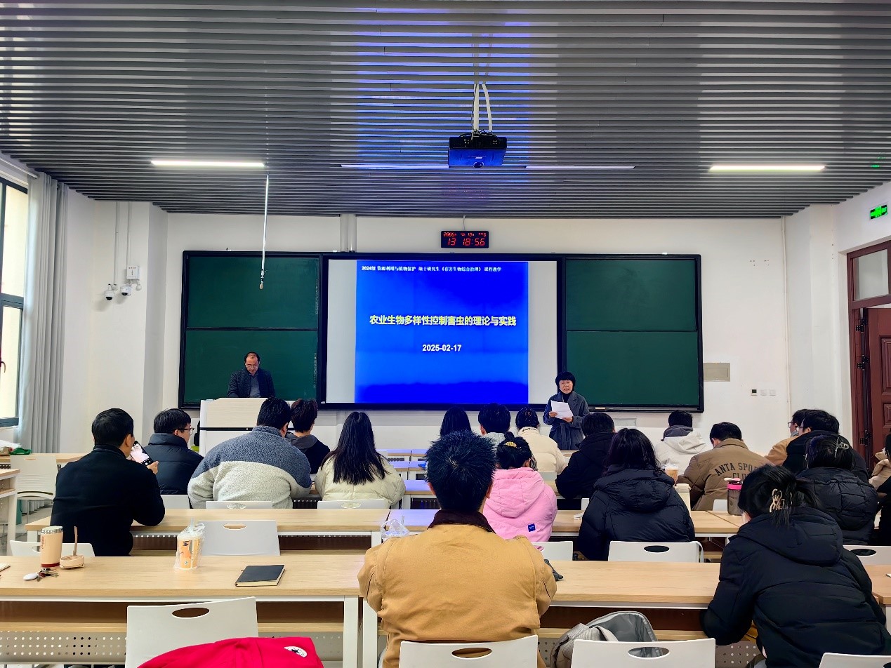 ���ߵ����˿��ֽ�