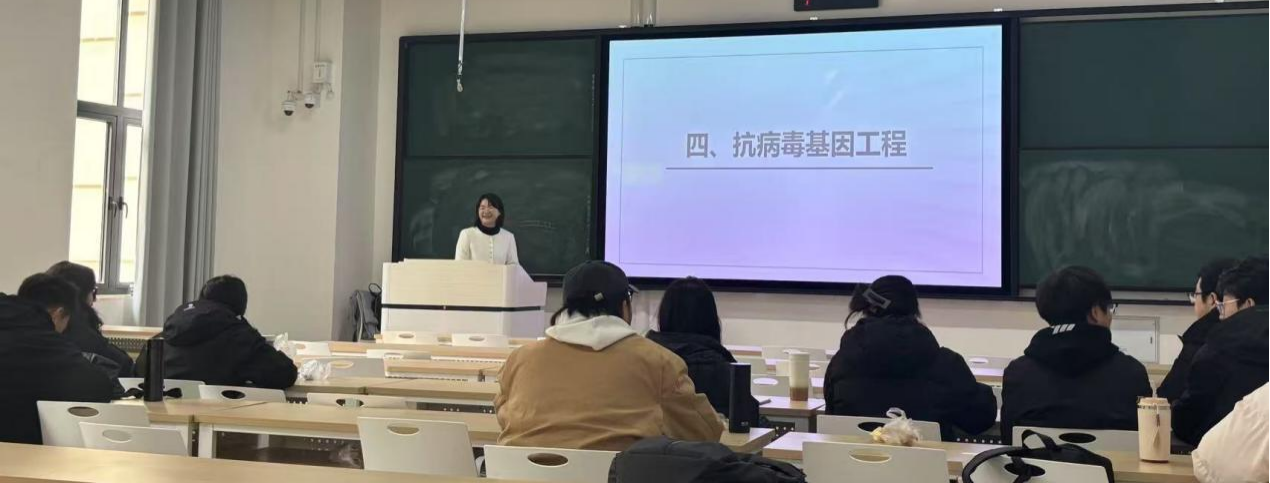 ���ߵ����˿��ֽ�