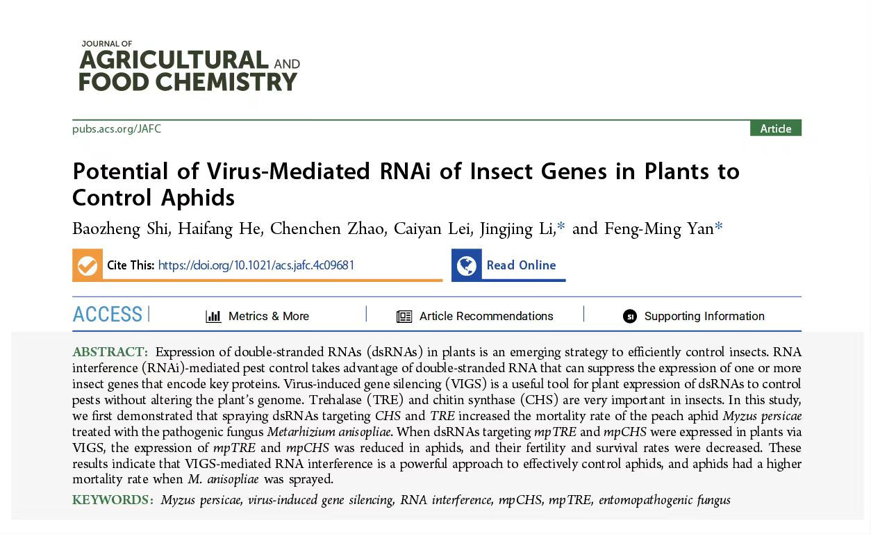 ���ߵ����˿��ֽ�