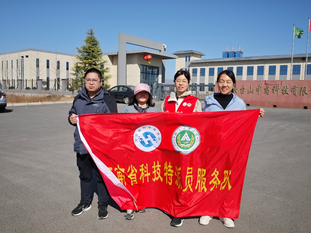 ���ߵ����˿��ֽ�