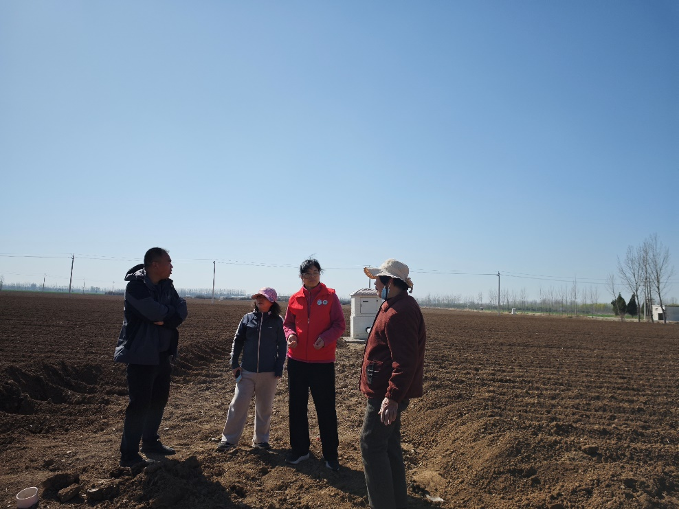 ���ߵ����˿��ֽ�