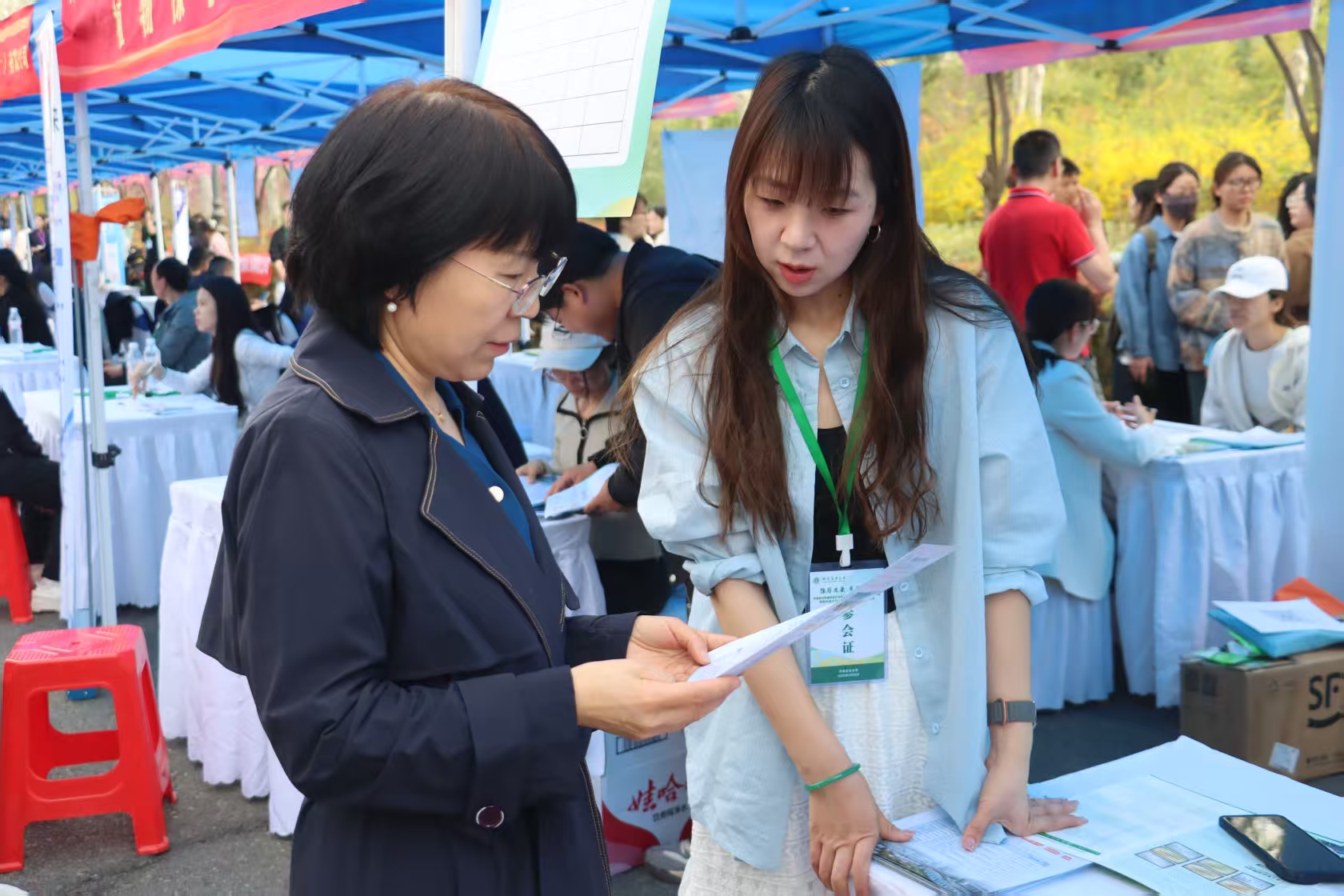 ���ߵ����˿��ֽ�