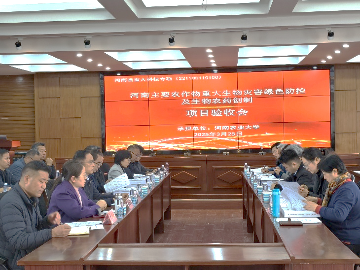 ���ߵ����˿��ֽ�