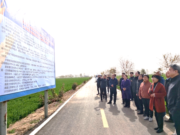 ���ߵ����˿��ֽ�