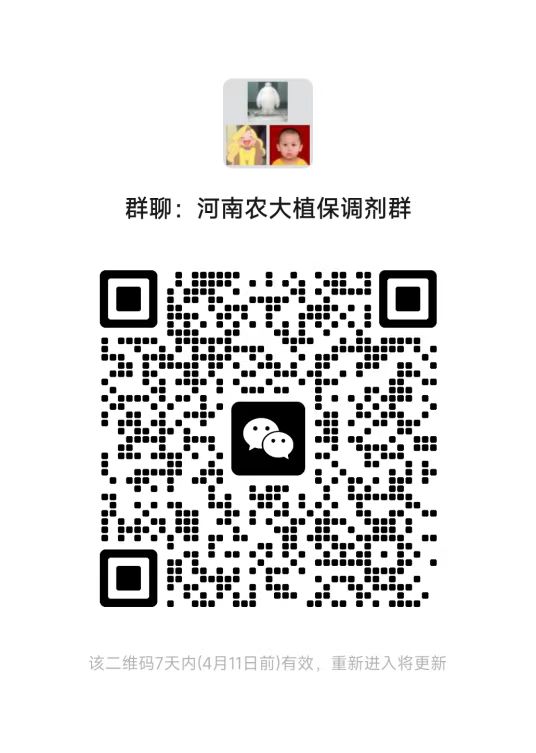 ���ߵ����˿��ֽ�