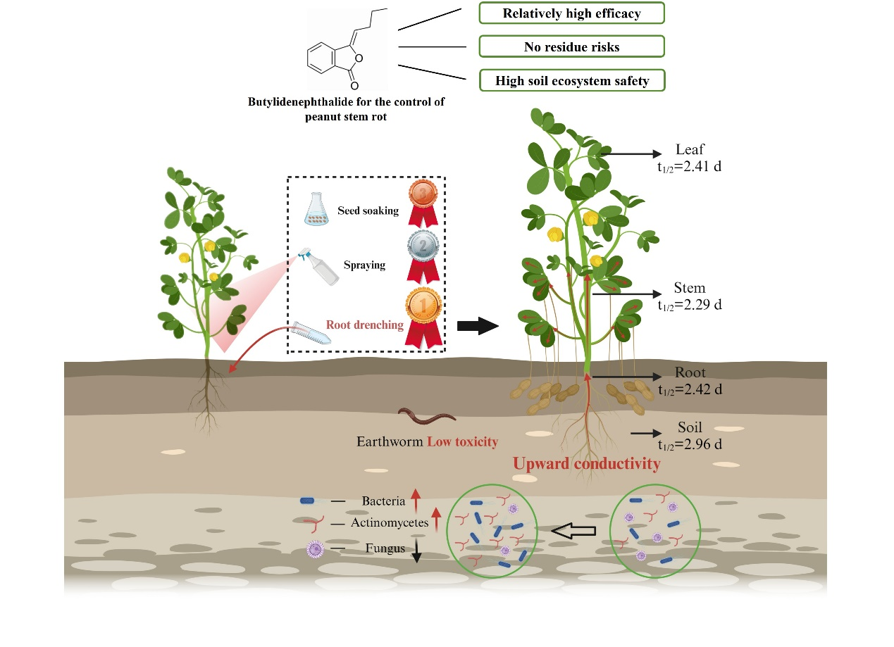 在线德州扑克现金