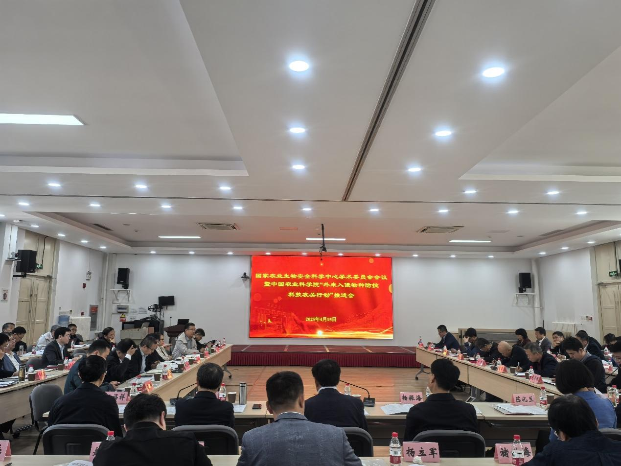 ���ߵ����˿��ֽ�