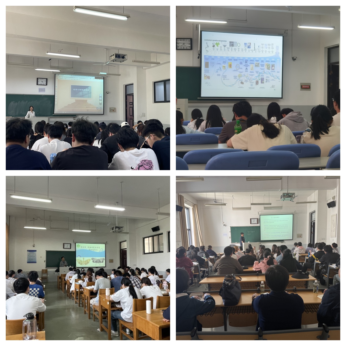 ���ߵ����˿��ֽ�