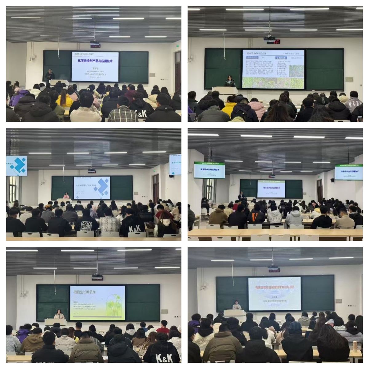 ���ߵ����˿��ֽ�