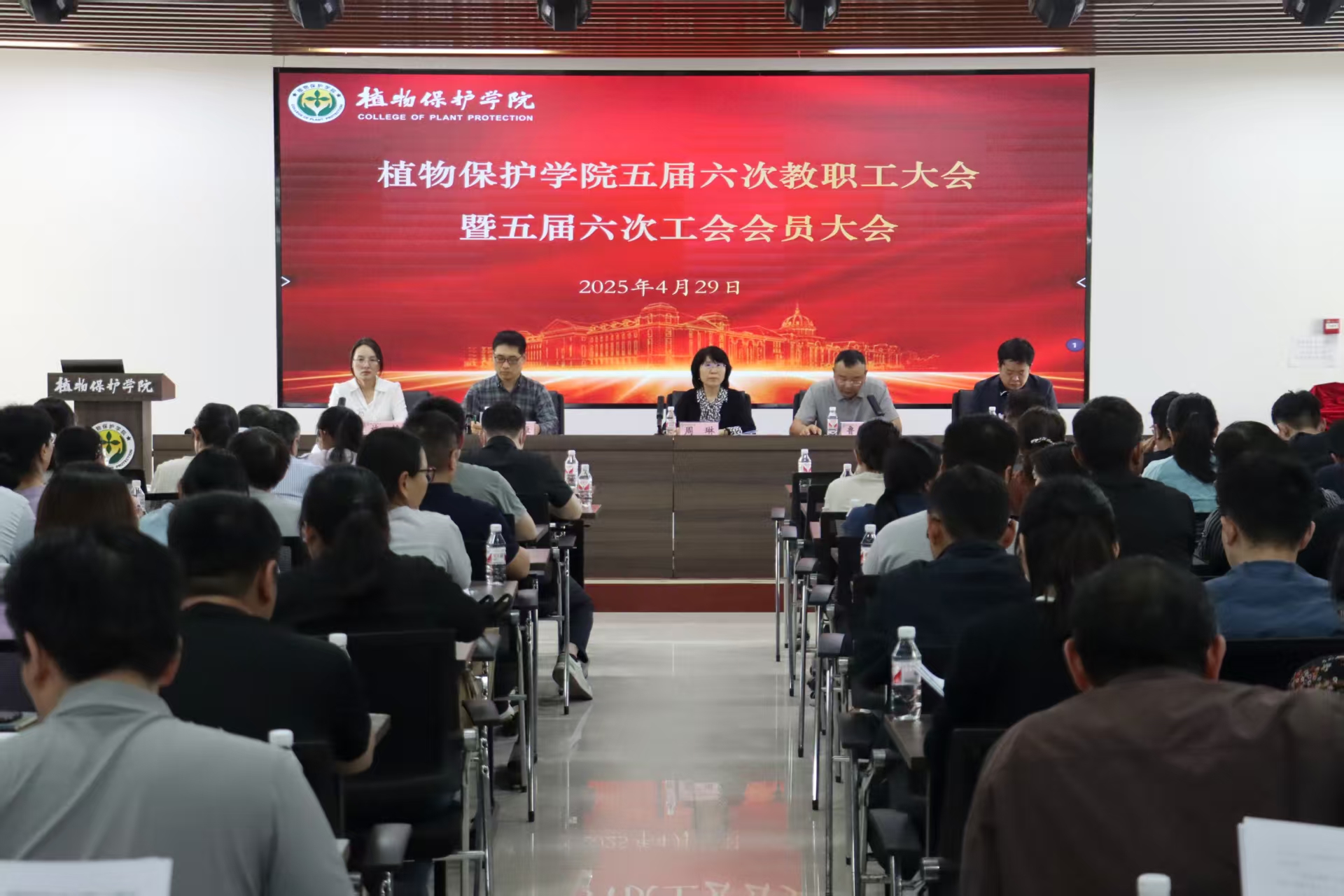 ���ߵ����˿��ֽ�