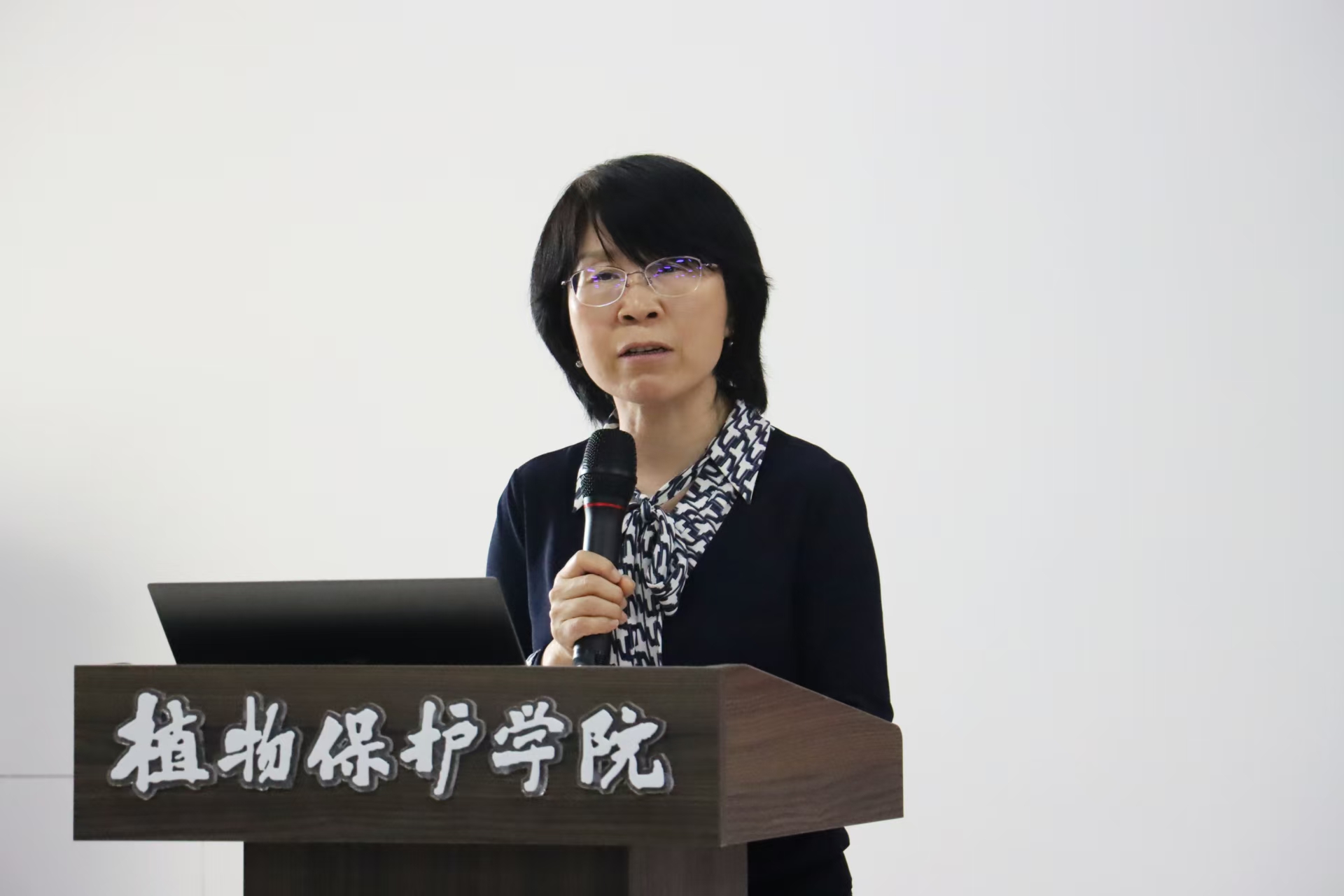 ���ߵ����˿��ֽ�