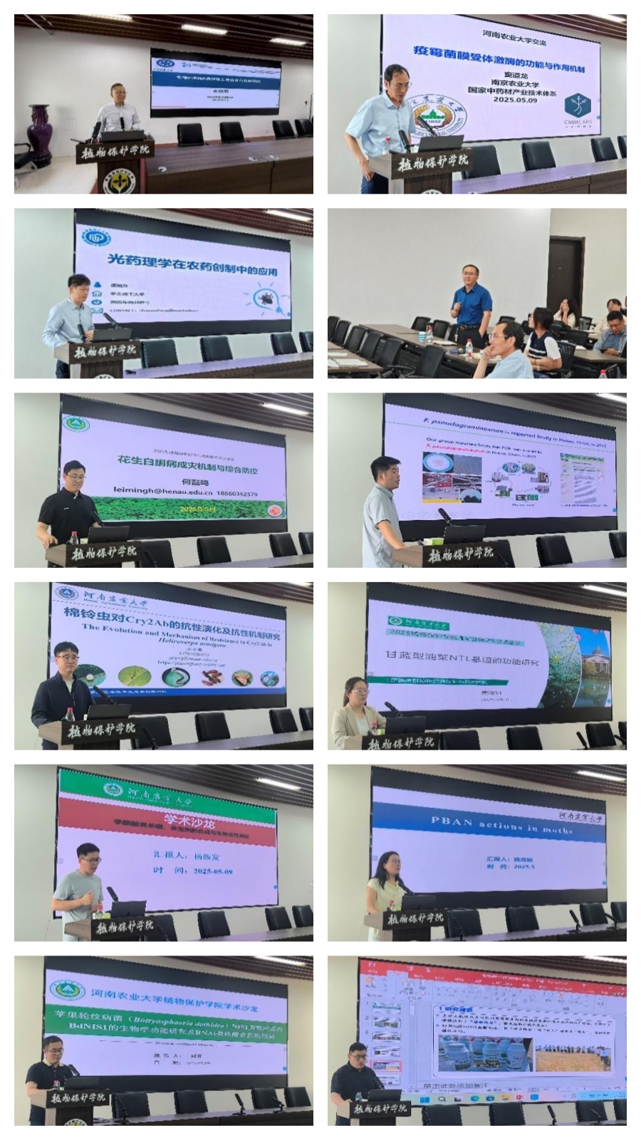 ���ߵ����˿��ֽ�