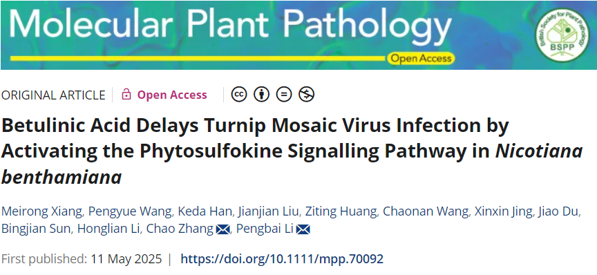 ���ߵ����˿��ֽ�