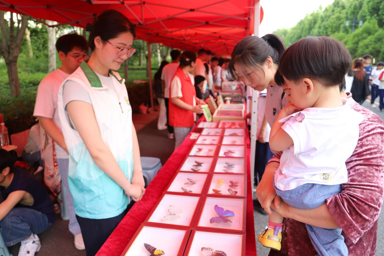 ���ߵ����˿��ֽ�