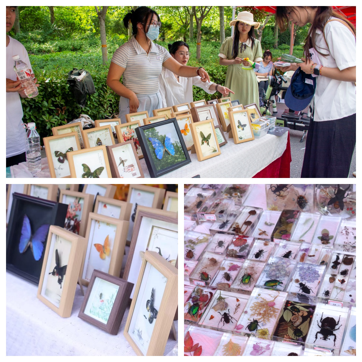 ���ߵ����˿��ֽ�