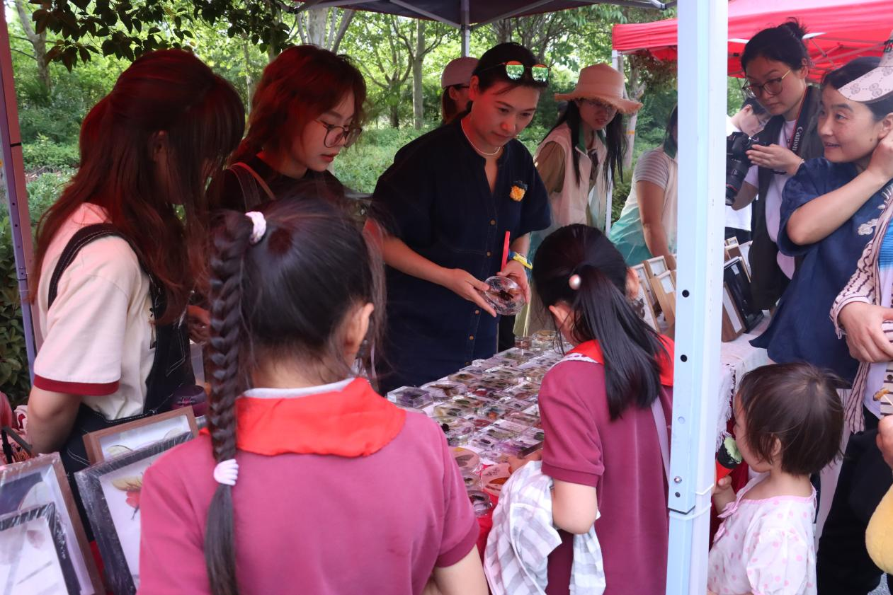 ���ߵ����˿��ֽ�