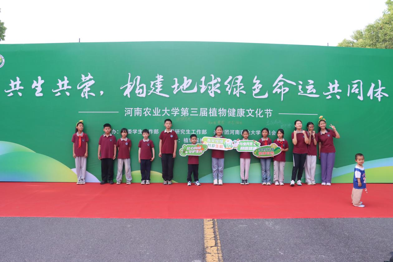 ���ߵ����˿��ֽ�