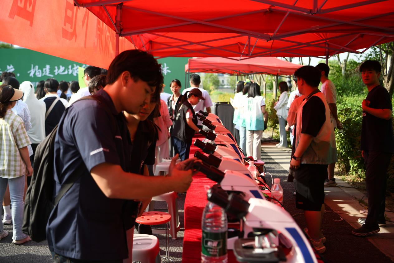 ���ߵ����˿��ֽ�