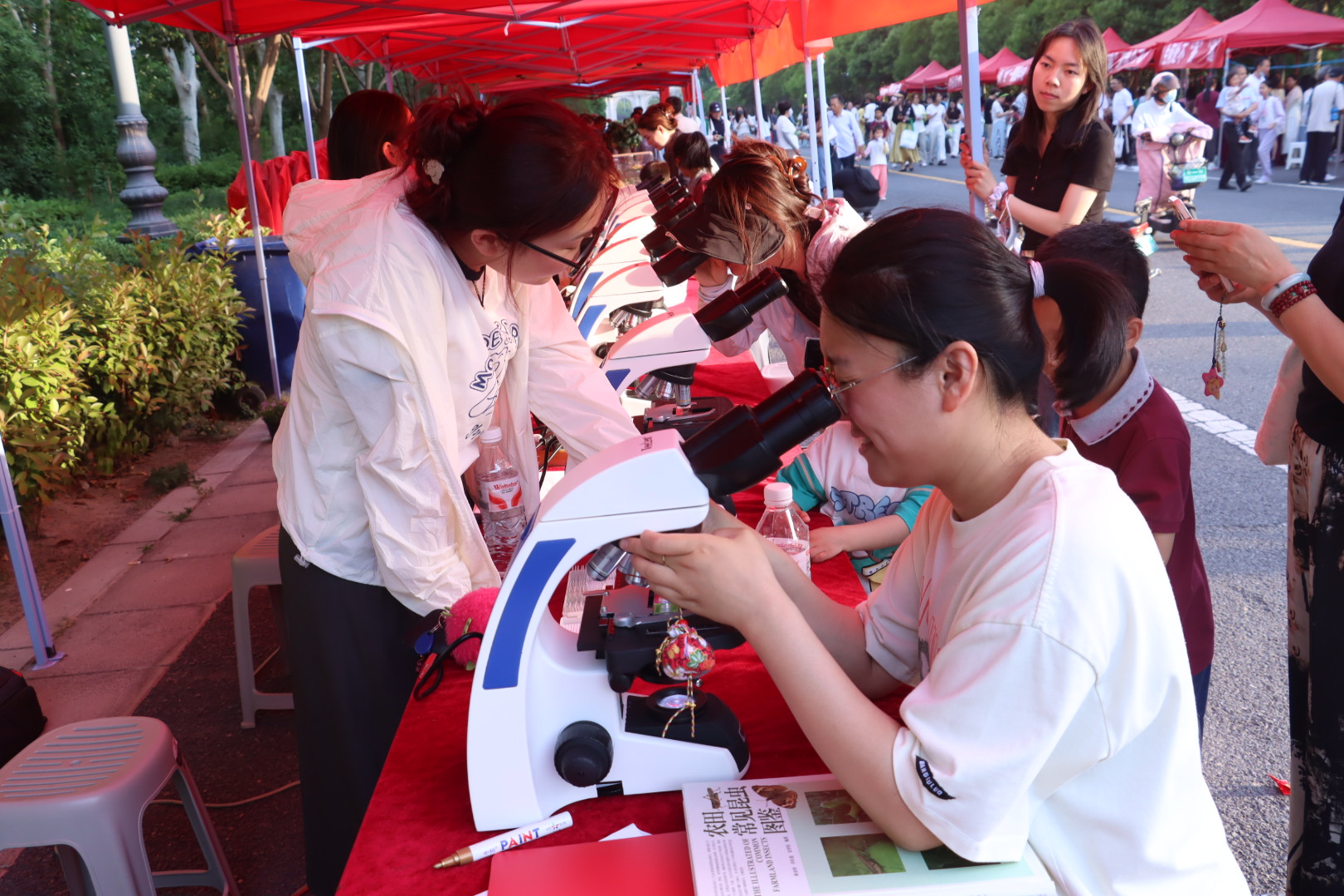 ���ߵ����˿��ֽ�