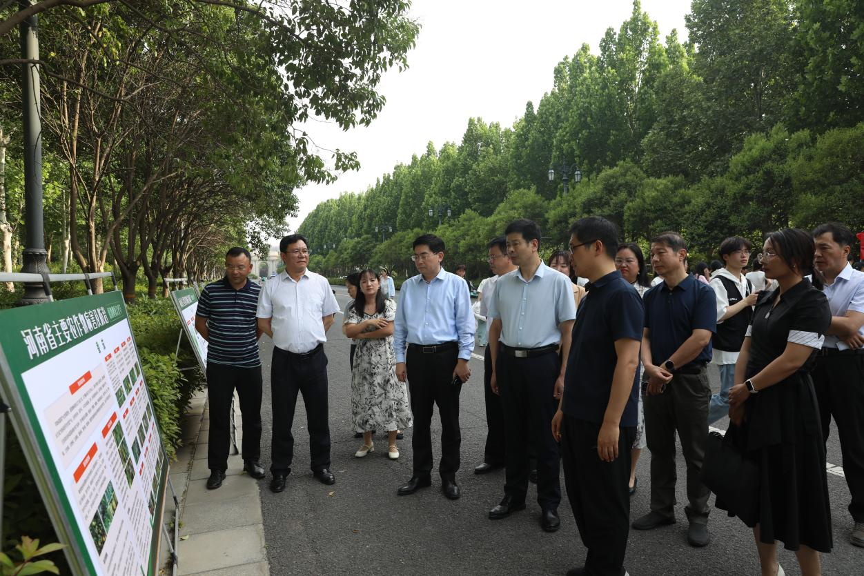 ���ߵ����˿��ֽ�