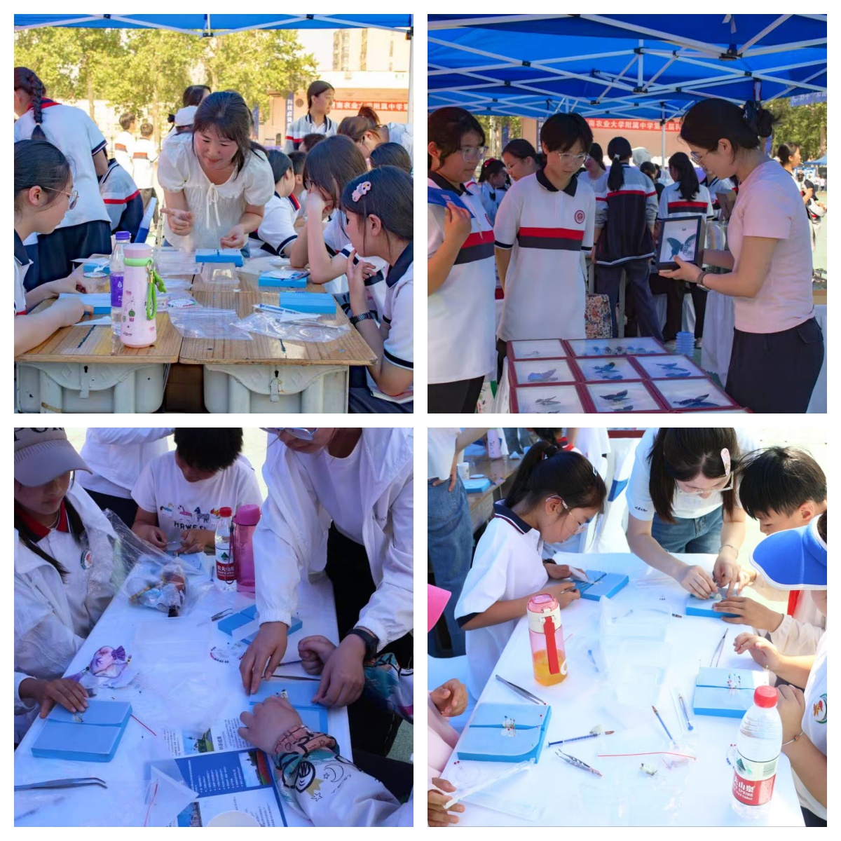 ���ߵ����˿��ֽ�