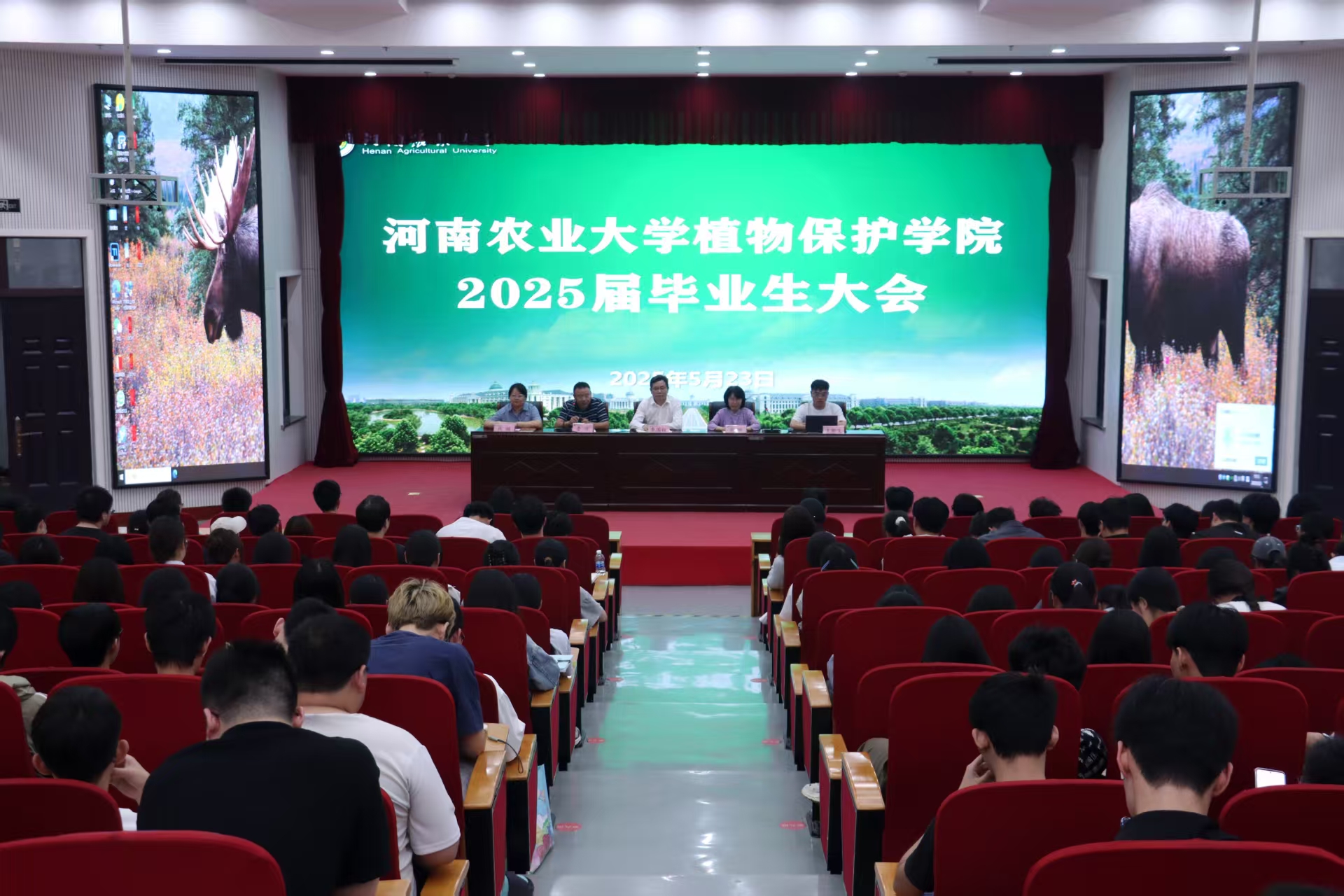 ���ߵ����˿��ֽ�