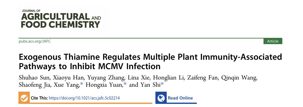 ���ߵ����˿��ֽ�