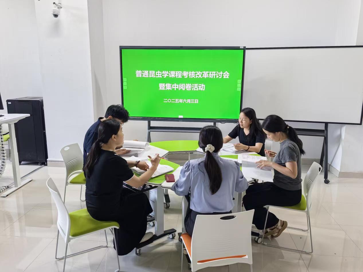 ���ߵ����˿��ֽ�