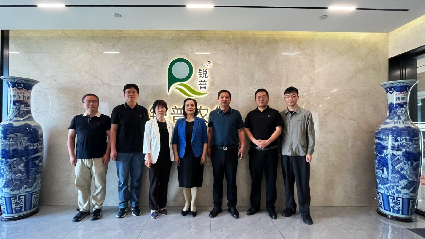 ���ߵ����˿��ֽ�