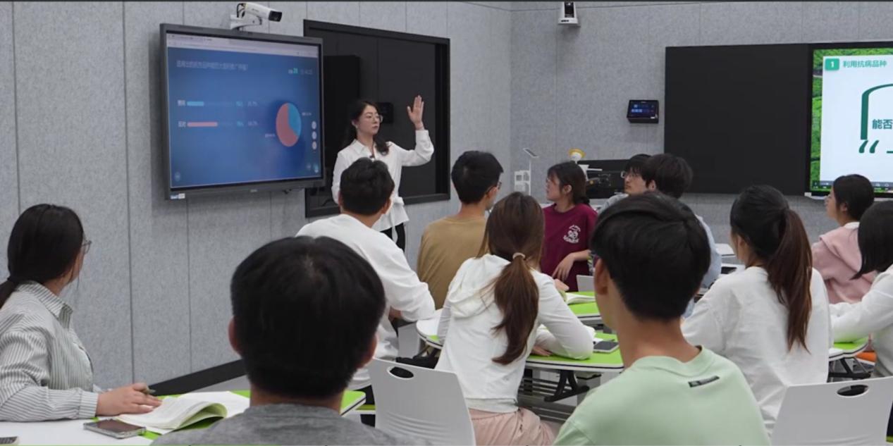 ���ߵ����˿��ֽ�