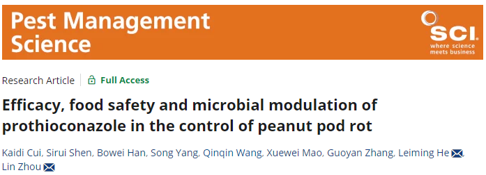 ���ߵ����˿��ֽ�