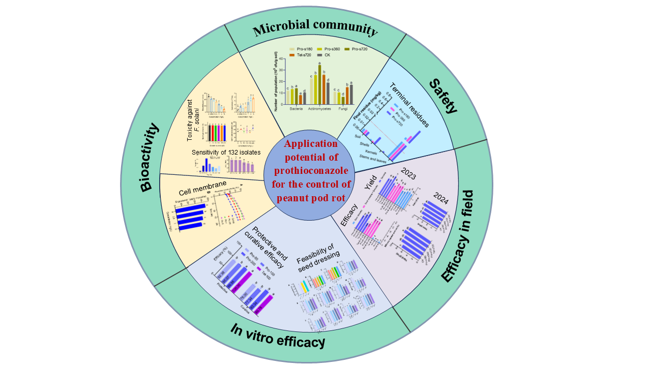 ���ߵ����˿��ֽ�