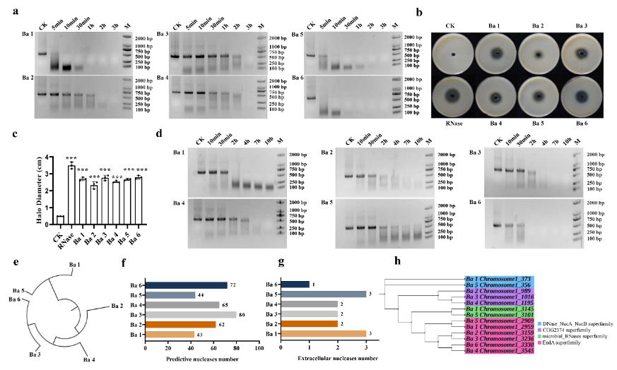 ���ߵ����˿��ֽ�