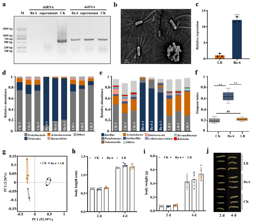 ���ߵ����˿��ֽ�