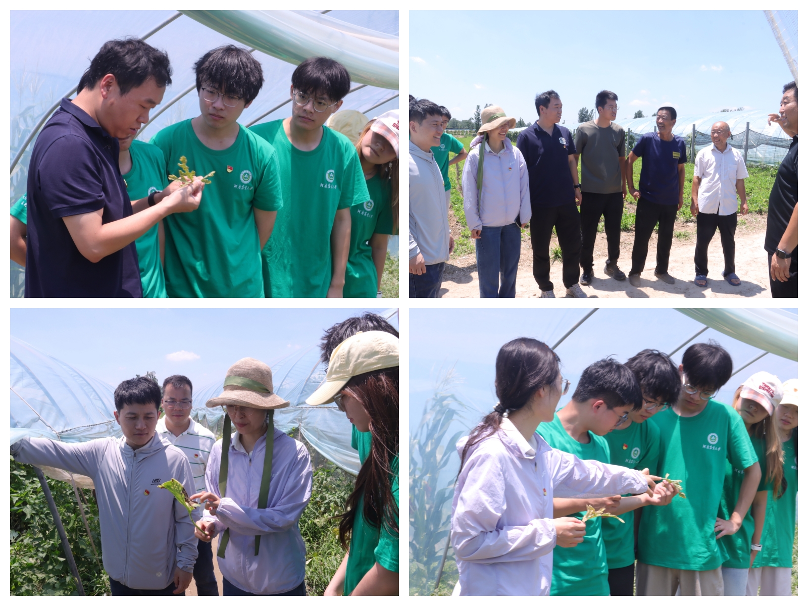 ���ߵ����˿��ֽ�