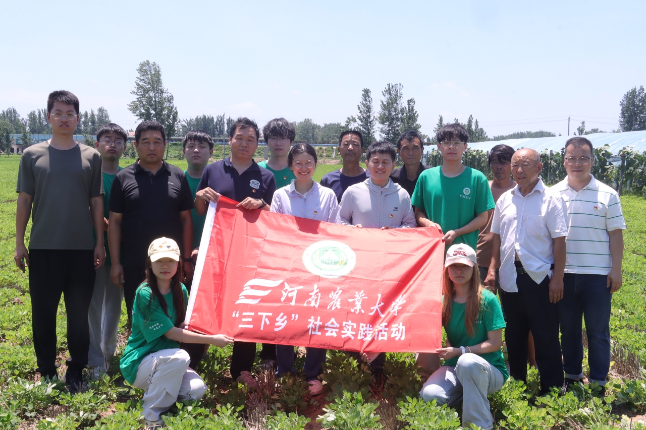 ���ߵ����˿��ֽ�