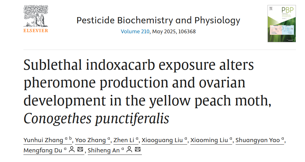 ���ߵ����˿��ֽ�