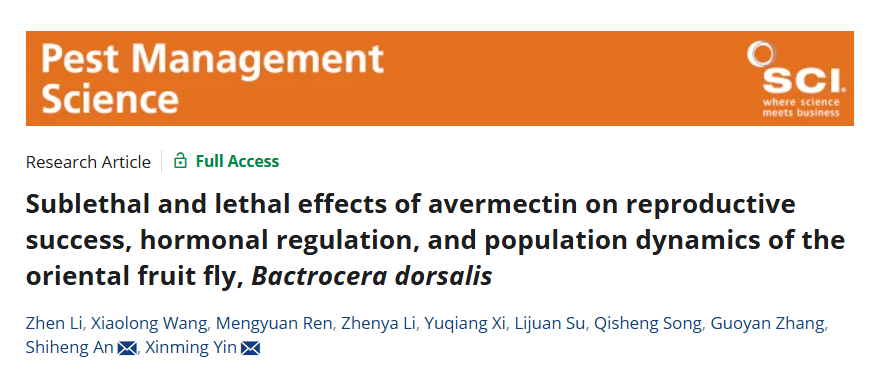 ���ߵ����˿��ֽ�