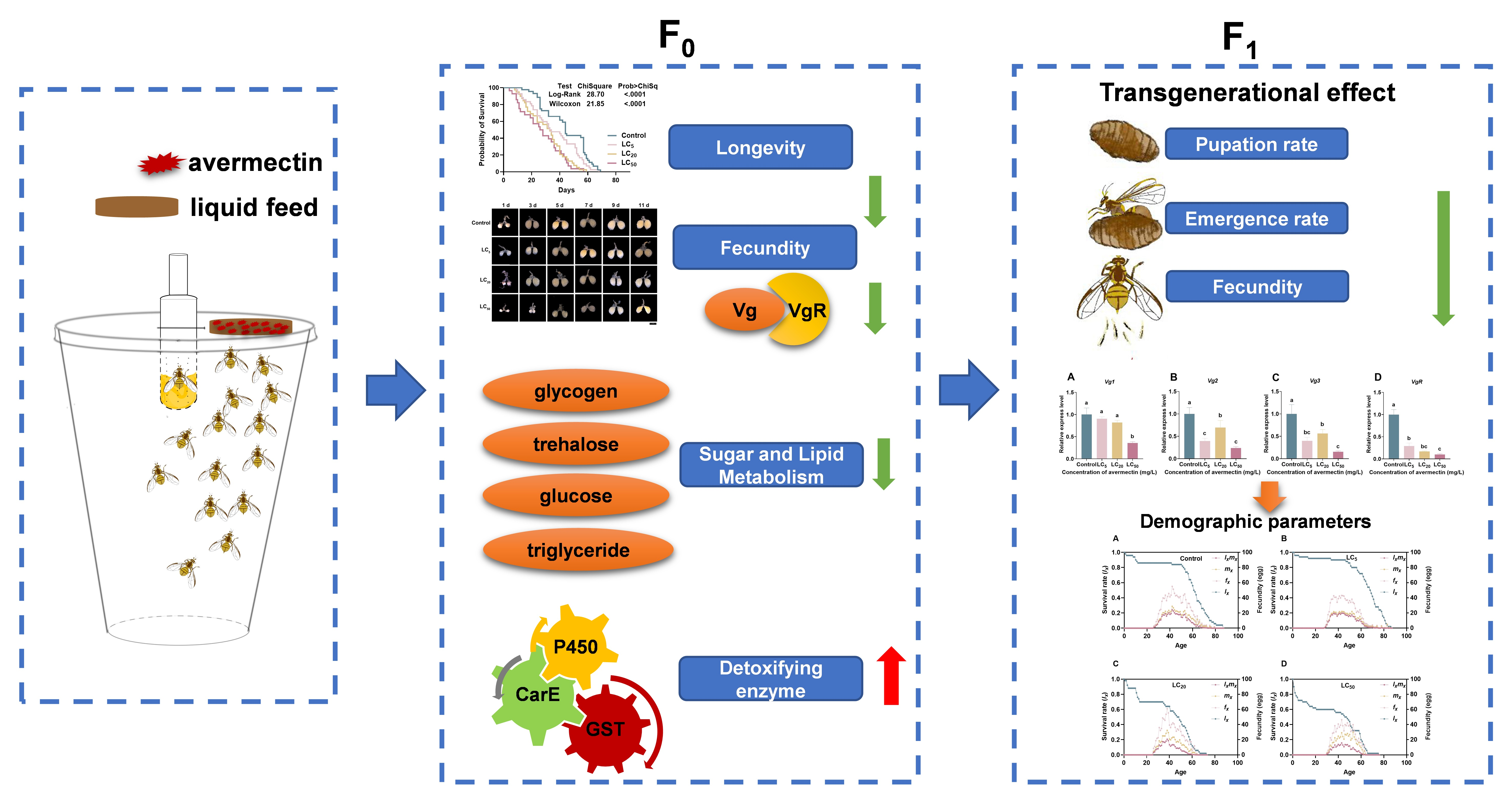 ���ߵ����˿��ֽ�