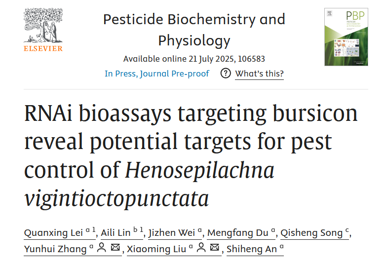 ���ߵ����˿��ֽ�