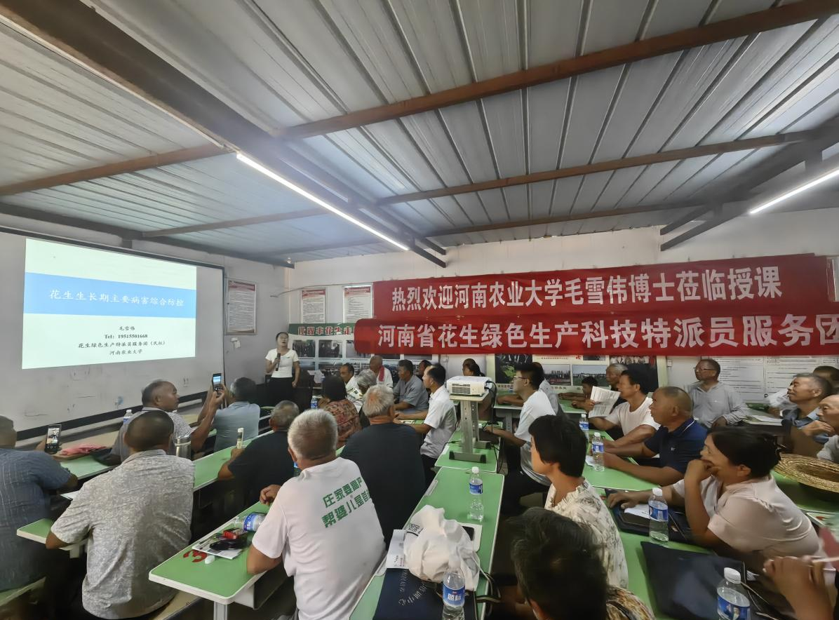 ���ߵ����˿��ֽ�