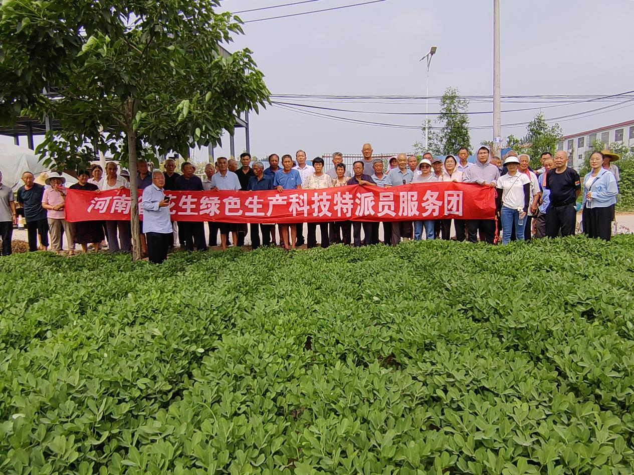 ���ߵ����˿��ֽ�