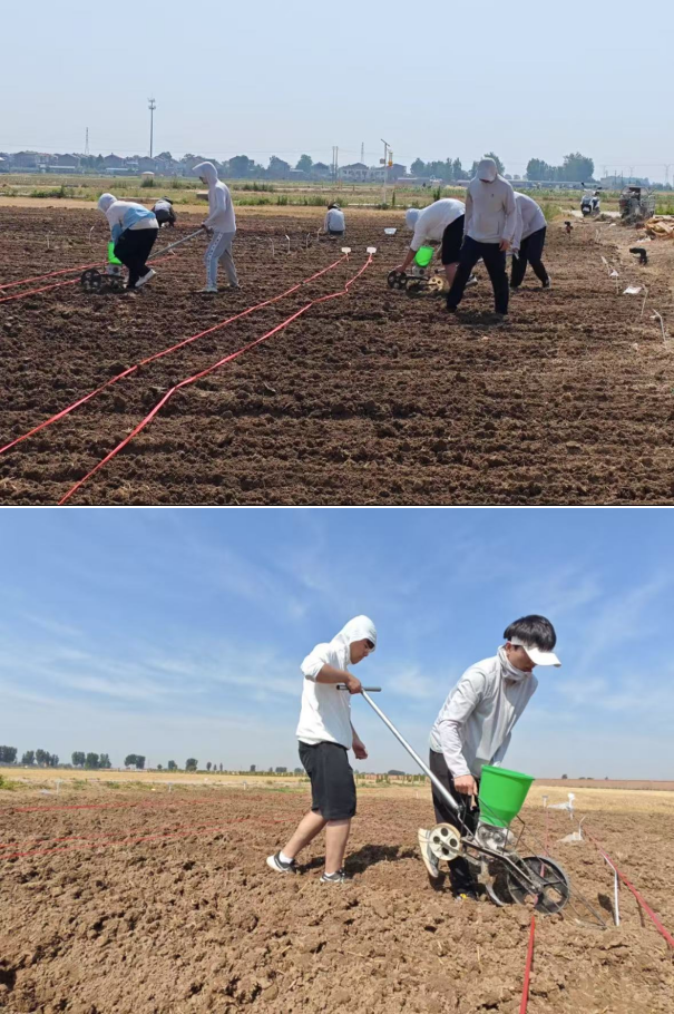 ���ߵ����˿��ֽ�