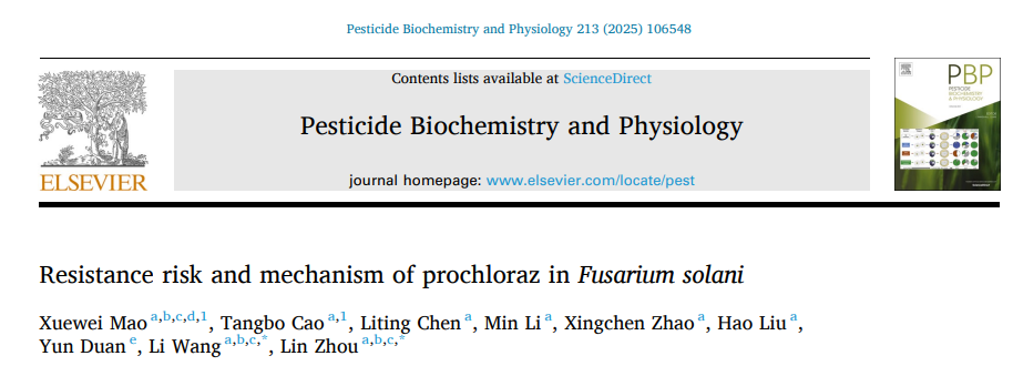 ���ߵ����˿��ֽ�