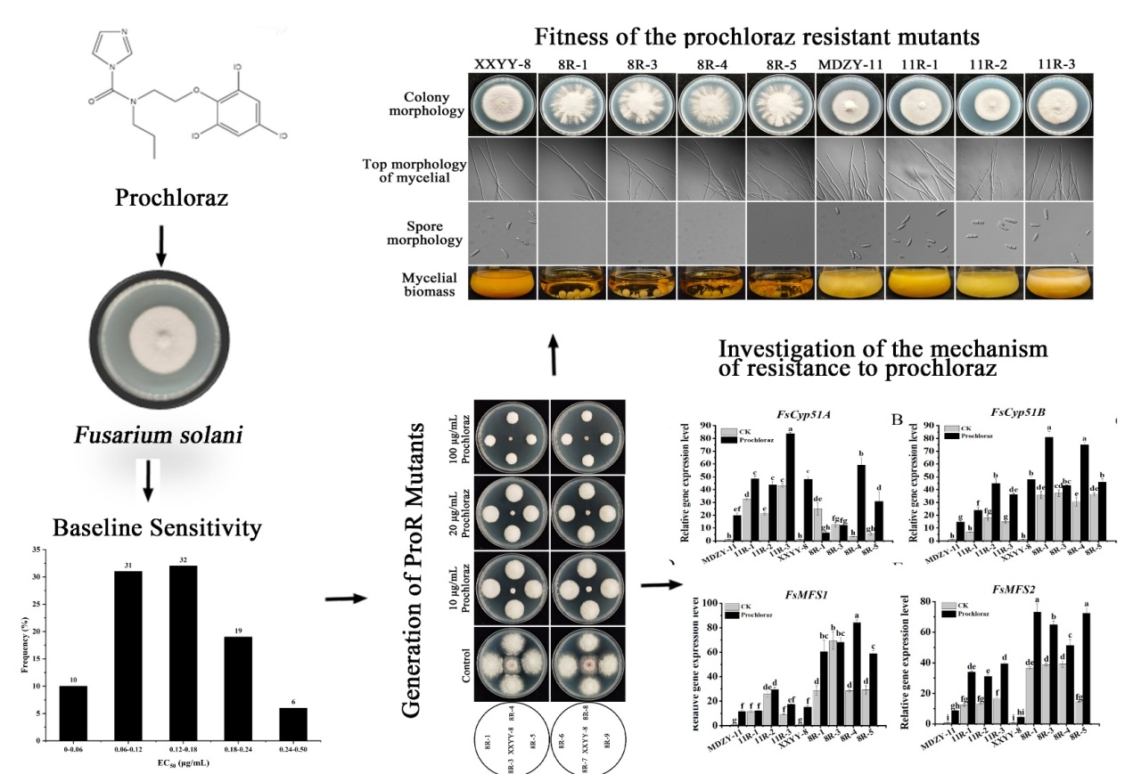 ���ߵ����˿��ֽ�