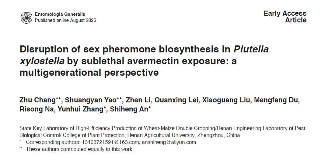 ���ߵ����˿��ֽ�