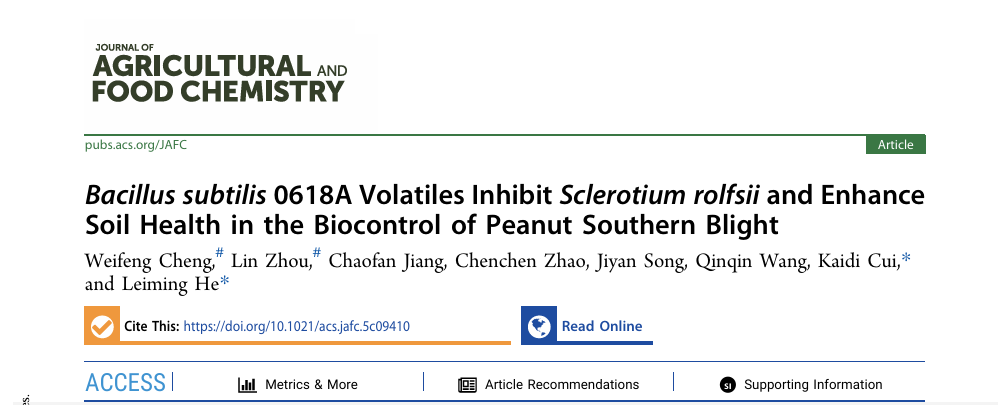 ���ߵ����˿��ֽ�