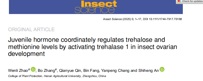 ���ߵ����˿��ֽ�