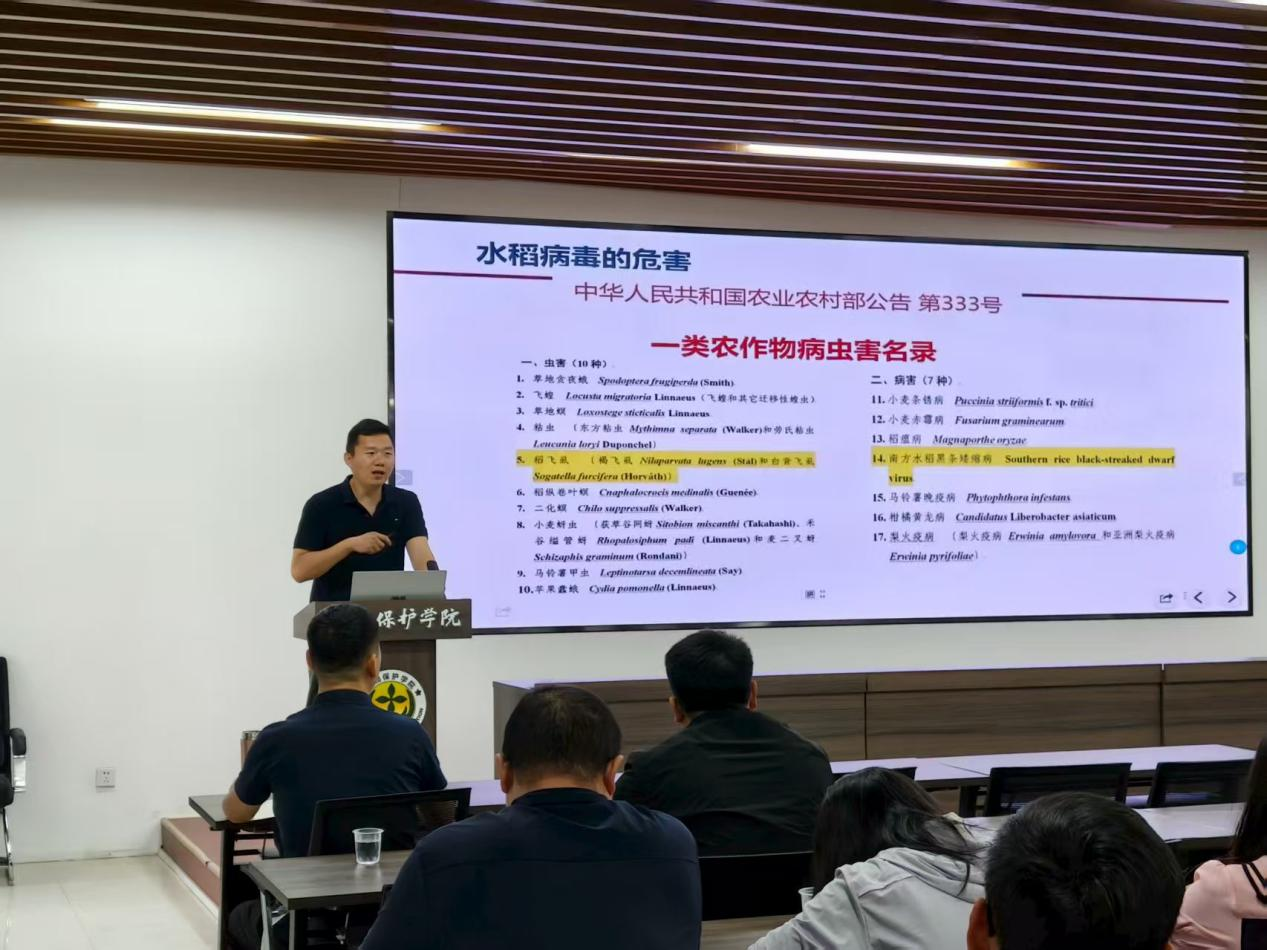 ���ߵ����˿��ֽ�